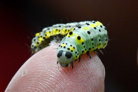 We were blown away by the diversity of the Upper Neretva.
